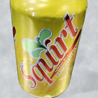 Best Squirt in Chicago, IL
